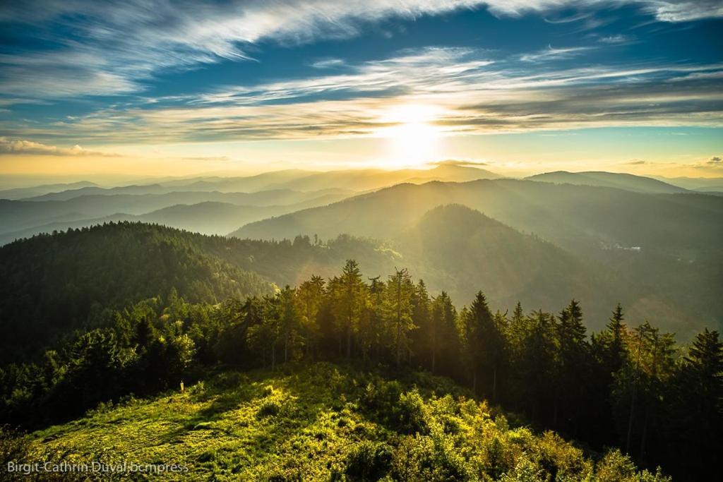 Schwarzwald-Traum Mit Pool Und Sauna Unterkirnach ภายนอก รูปภาพ