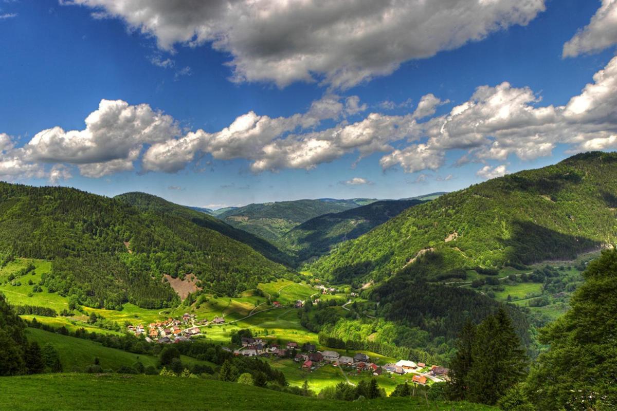 Schwarzwald-Traum Mit Pool Und Sauna Unterkirnach ภายนอก รูปภาพ