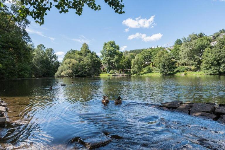 Schwarzwald-Traum Mit Pool Und Sauna Unterkirnach ภายนอก รูปภาพ